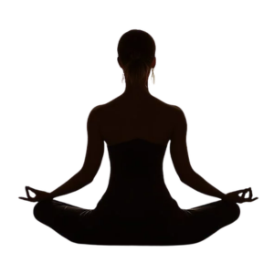 Authentic ayurveda wellness products and natural herbal ingredients promoting holistic health and balanced living.